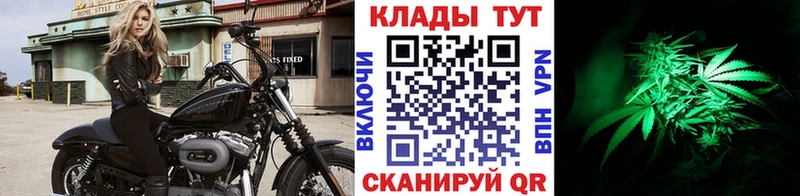 Магазины продажи наркотиков Боровичи МДМА  Гашиш  Конопля  Alpha-PVP 